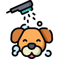 Bath & Brush