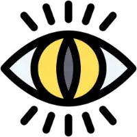 Cat & Dog Eye Surgery