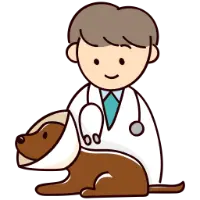 Supervised by Veterinary Professionals