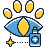Glaucoma Surgery for Dogs