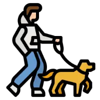 Daily Exercise & Play