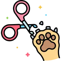 Nail Clipping