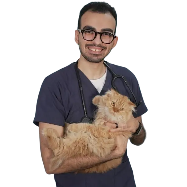 Veterinary Clinic in Abu Dhabi