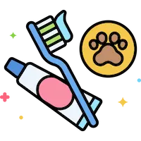 Dental Cleaning and Polishing