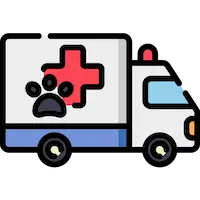 Pet Emergency Dental Care