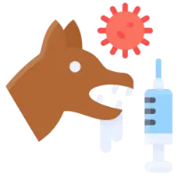 Rabies