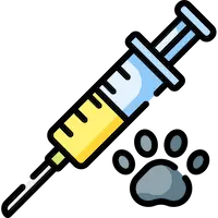 Safe Anesthesia