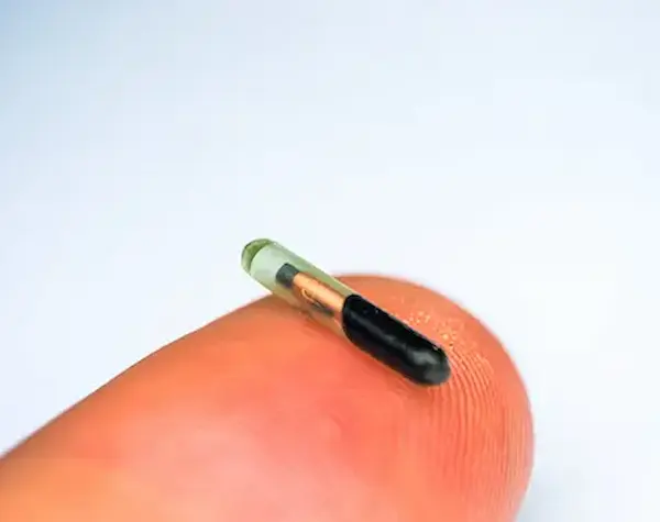 Pet Microchipping Services in Abu Dhabi