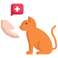Feline Leukemia Virus (FeLV)