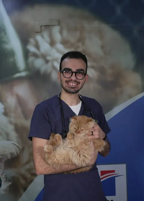Veterinary Clinic in Abu Dhabi