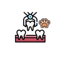 Tooth Extractions & Oral Surgery